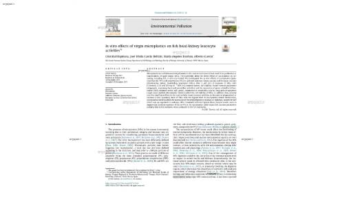 In vitro effects of virgin microplastics on fish head-kidney leucocyte activities*